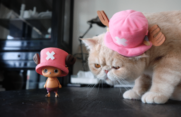 ONE PIECE - CREATOR X CREATOR - TONY TONY CHOPPER - PINK HAT - Image 2