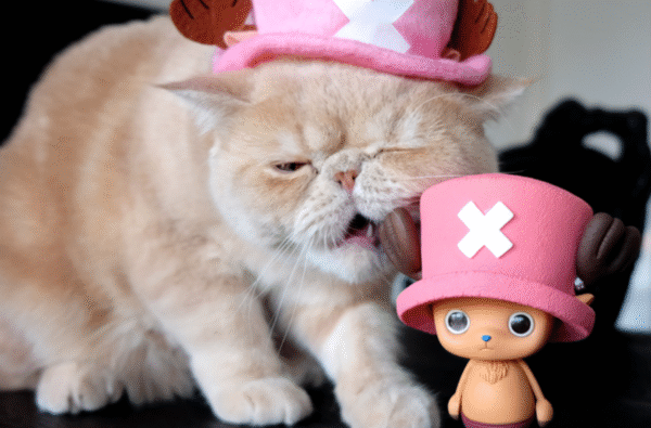 ONE PIECE - CREATOR X CREATOR - TONY TONY CHOPPER - PINK HAT - Image 3