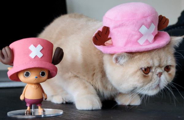 ONE PIECE - CREATOR X CREATOR - TONY TONY CHOPPER - PINK HAT - Image 4