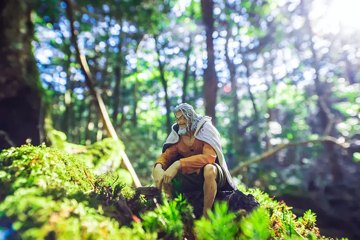 ONE PIECE - CREATOR X CREATOR - RAYLEIGH - Ver. A - Image 4